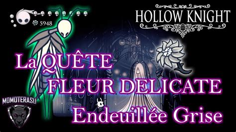 La quête de la Fleur Délicate Hollow Knight fr .